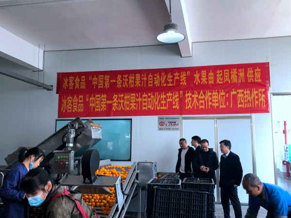 广西热作所农产品精深加工产业科技先锋队赴武鸣区开展“科技支农促春耕”活动