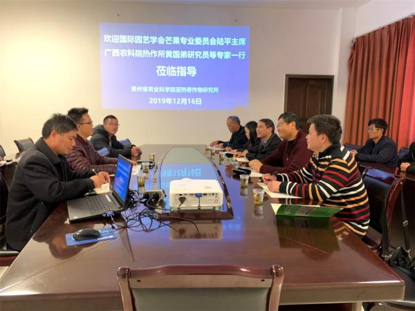 国际园艺学会芒果专业委员会主席陆平教授到访广西热作所开展学术交流活动