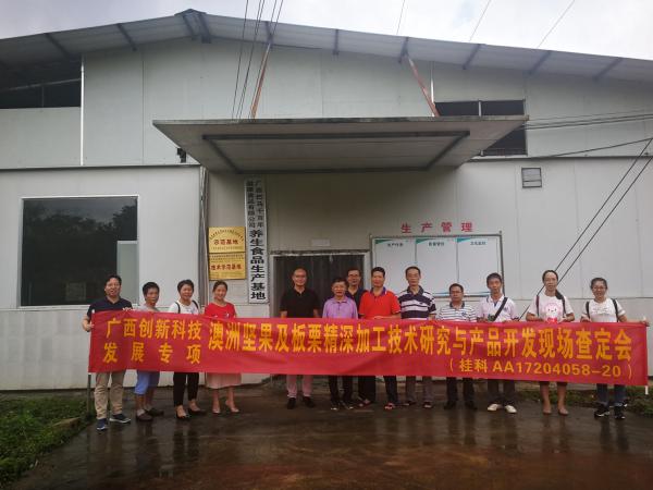 广西热作所承担的广西创新驱动发展重大专项课题“澳洲坚果及板栗精深加工技术研究与产品开发”通过现场查定