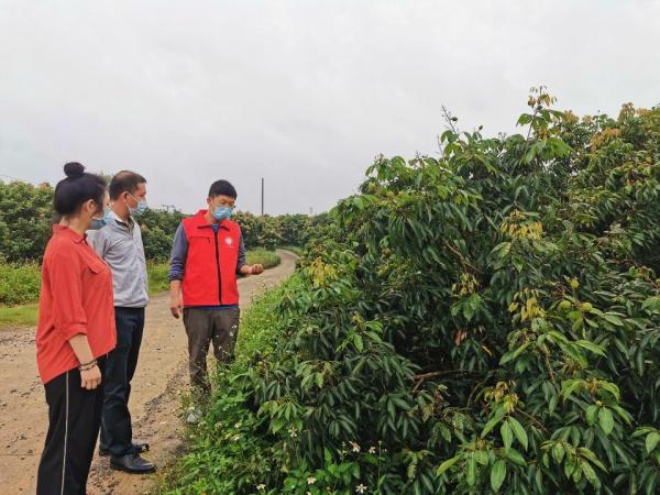 广西热作所科技人员赴钦州开展农产品质量安全风险评估工作