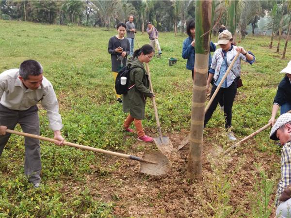 广西热作所开展义务植树活动