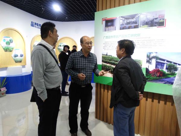 广西木薯研究所与雅美好公司举行科技合作签约仪式