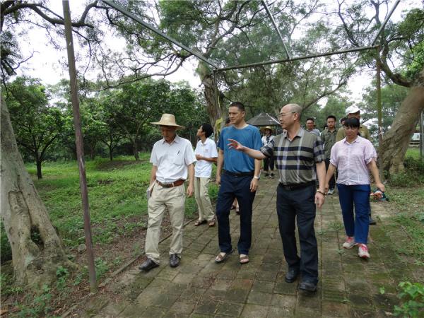 广西热作所顺利开展2018年度中期科研检查工作