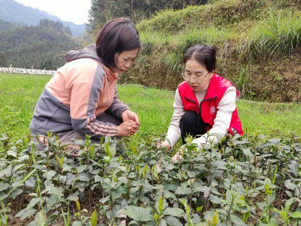 广西热作所加工工程技术中心党支部赴融水开展“党旗领航、科技引领”乡村振兴活动