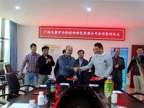 广西木薯研究所与雅美好公司举行科技合作签约仪式