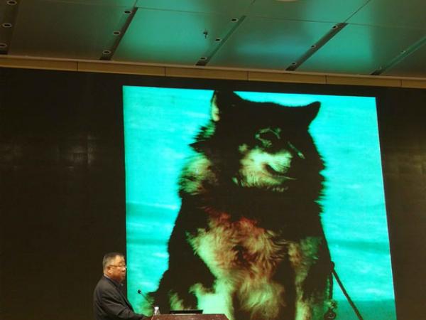 广西热作所组织科技人员参加广西自然科学博物馆协会2017年第一期专题培训