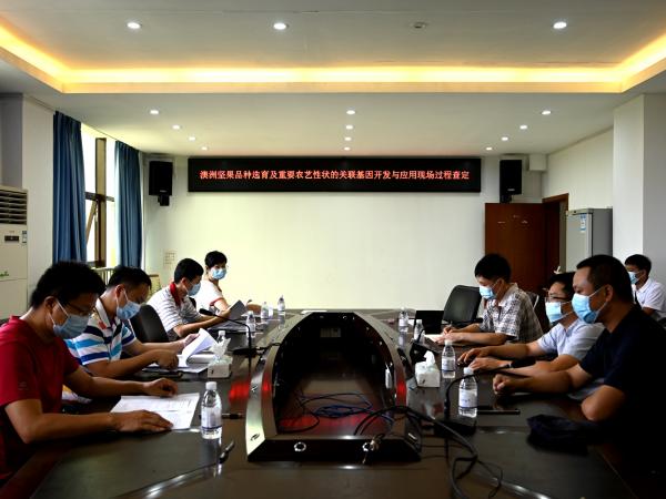 广西热作所承担的2个广西科技计划项目通过现场查定