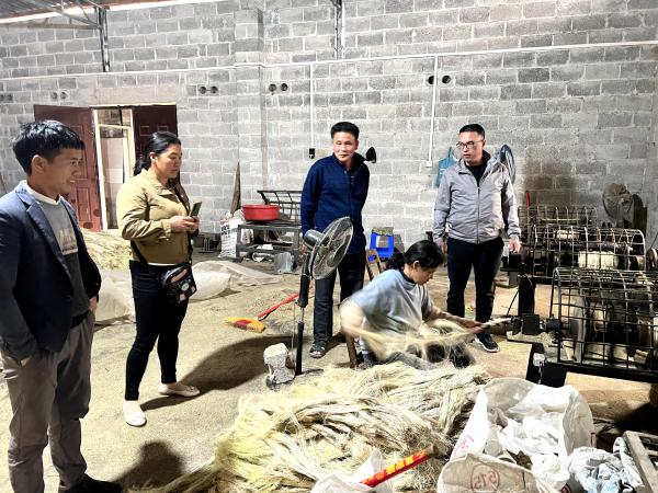 国家科技特派团专家带领广南县剑麻种植大户前往平果县参观学习