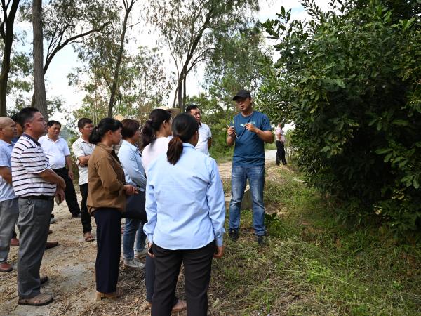 广西热作所科技人员赴马山县开展科技服务