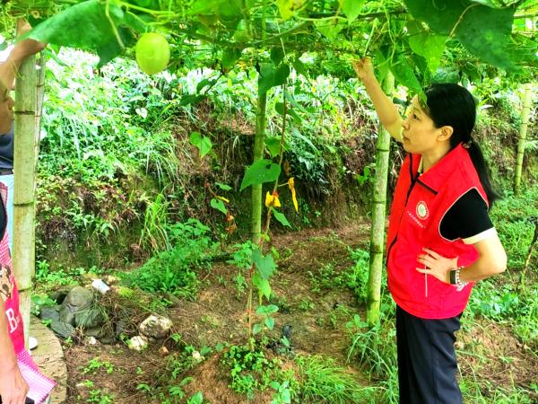 广西热作所农产品加工工程技术中心支部党员赴融水县开展技术服务