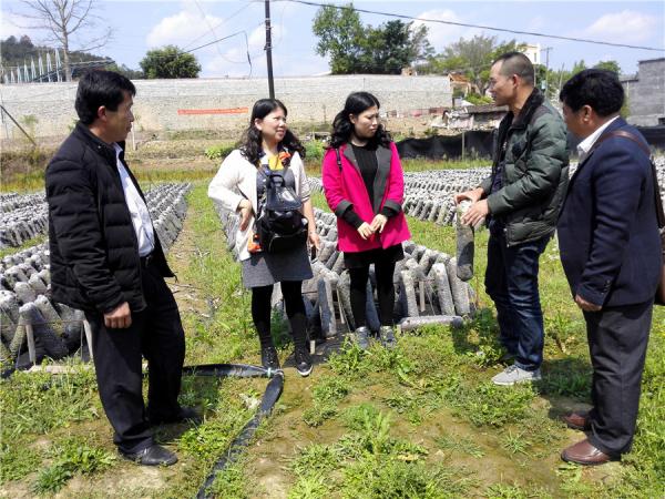 广西热作所科技人员偕同融水县贫困户赴南丹县考察黑木耳种植技术