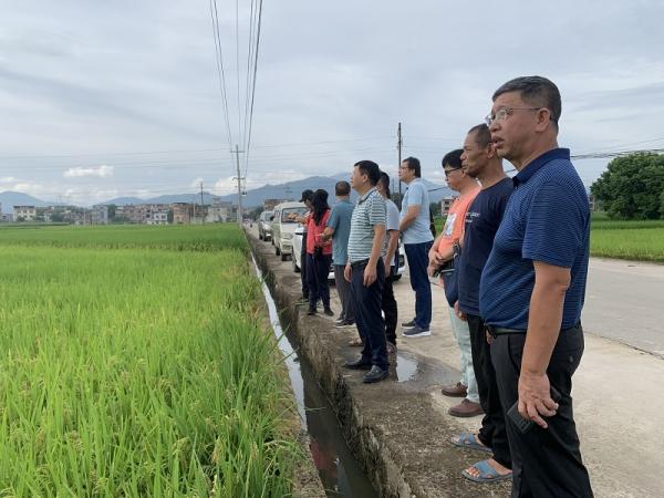 广西热作所农产品质量安全产业科技先锋队赴贺州市八步区开展“防汛抗涝保丰收”技术服务