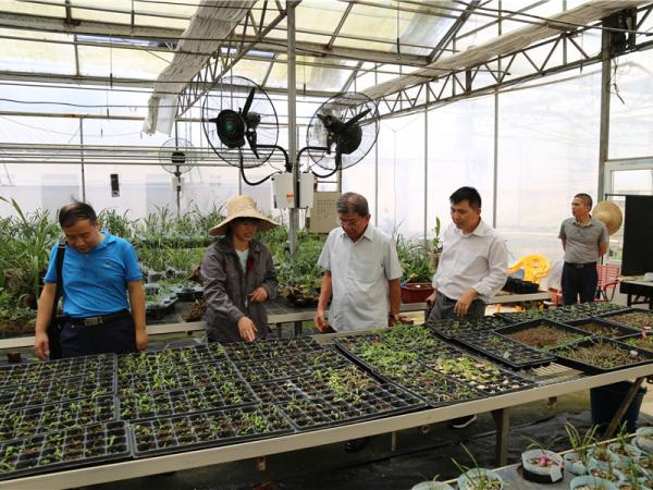 印度尼西亚外宾到访广西热作所