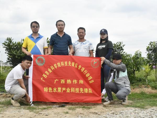广西热作所特色水果产业科技先锋队到宾阳和来宾等地开展澳洲坚果科技服务