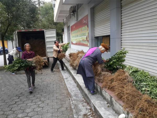 广西热作所科技特派员赴上林开展技术指导工作