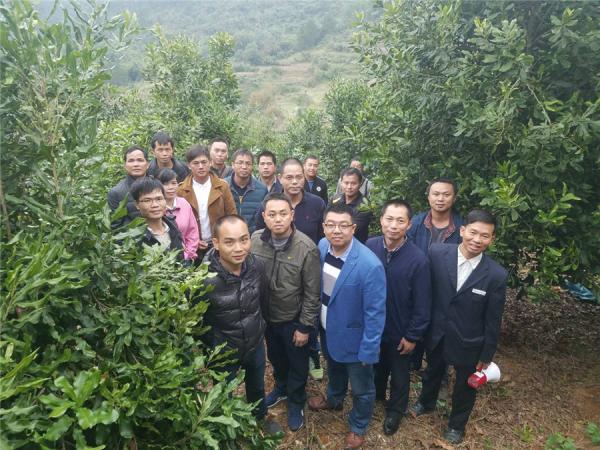 广西热作所坚果研究中心科技人员到岑溪等地开展调研与培训