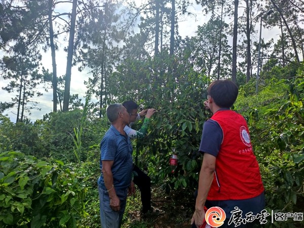 咖啡园实地培训。_副本.jpg