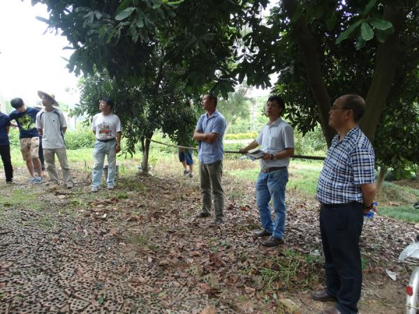 广西热作所隆重开展科研生产大检查工作