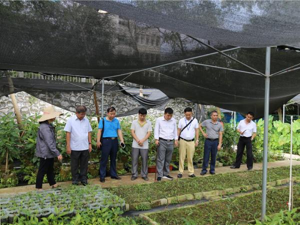 印度尼西亚外宾到访广西热作所