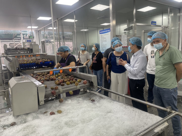 广西热作所农产品精深加工产业科技先锋队赴武鸣区开展科技服务