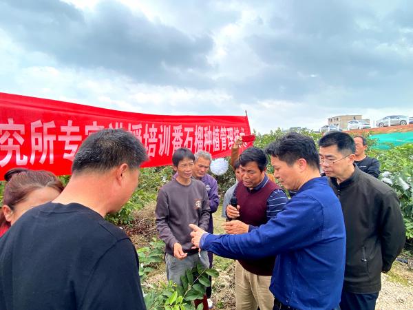 广西热作所特色水果研究团队应邀赴玉林市开展番石榴种植管理技术指导