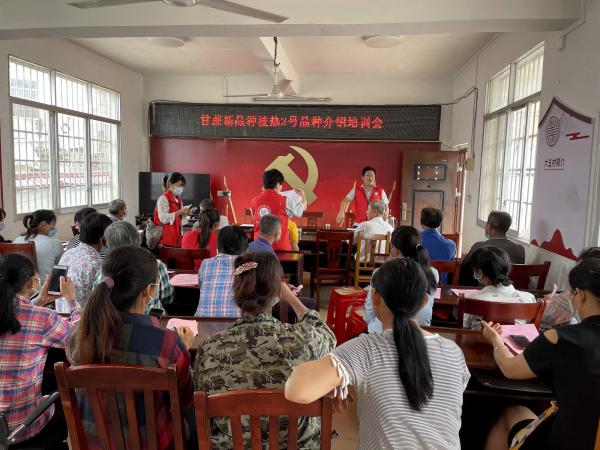 广西热作所科技特派员赴来宾市兴宾区开展甘蔗新品种桂热2号高产种植技术培训会