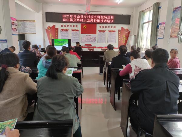 广西热作所科技特派员到马山县开展科技服务
