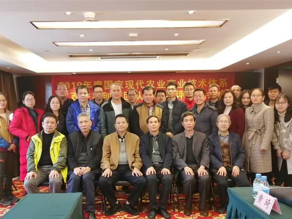 2019年度国家现代农业产业技术体系广西芒果创新团队年终考评工作会议在百色市召开