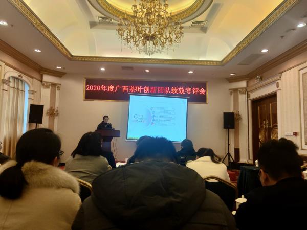 广西茶叶创新团队南宁综合试验站顺利通过2020年度 绩效考评会
