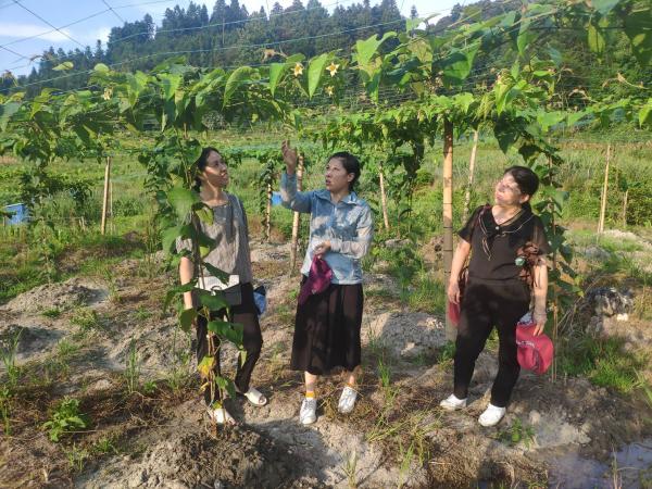 我为群众办实事--广西热作所科技特派员开展科技需求征集和送技术服务活动