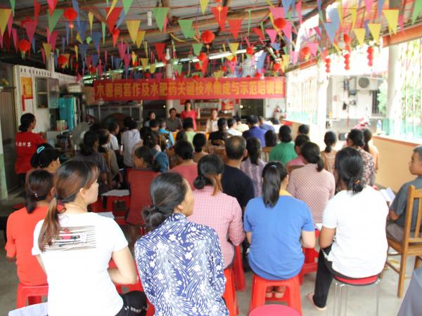 广西热作所在桂平举办木薯间套作技术培训班