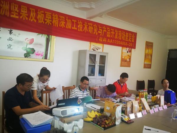 广西热作所承担的广西创新驱动发展重大专项课题“澳洲坚果及板栗精深加工技术研究与产品开发”通过现场查定