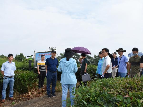 广西热作所顺利开展2020年科研检查工作