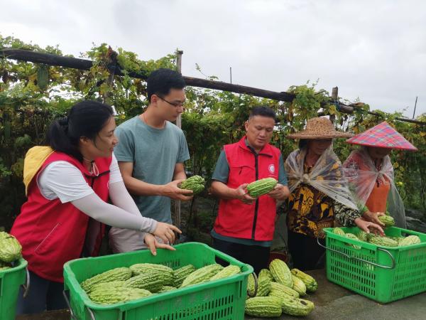 科技特派员到田间“传经”