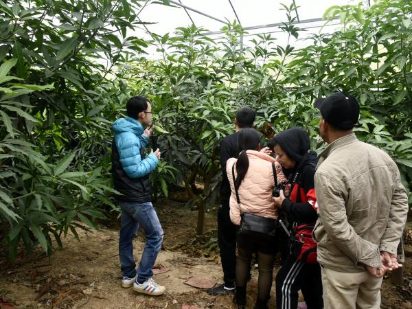 钟山县2021年高素质农民教育培训提升班学员到广西热作所芒果示范园观摩学习