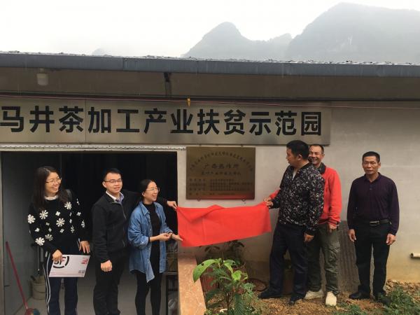 广西热作所茶叶先锋队赴上林县和马山县开展科技服务工作