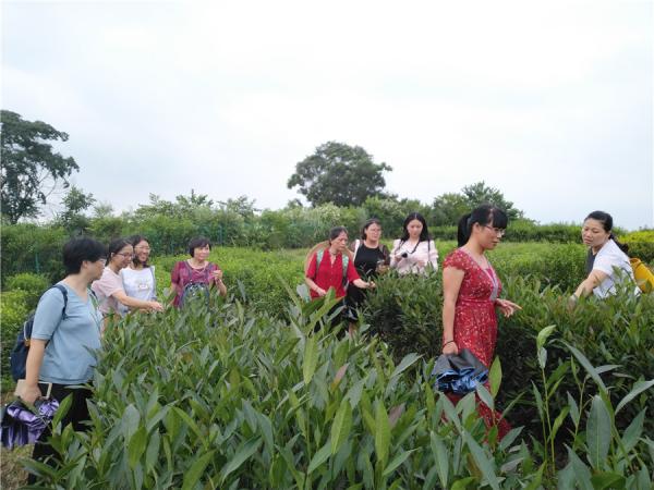 福建农林大学、山东农业大学、河南农业大学茶学老师组队到广西热作所考察交流