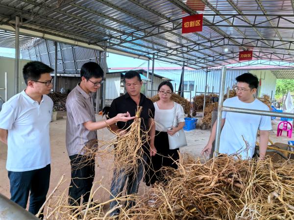 广西热作所广西-东盟食养两用特色植物资源挖掘与加工利用团队赴钦州市开展合作交流