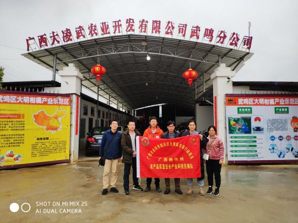 广西热作所农产品质量安全产业科技先锋队赴武鸣开展调研交流工作