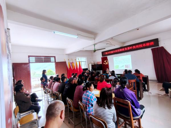 广西茶产业科技先锋队队员赴马山开展茶叶实用技术培训