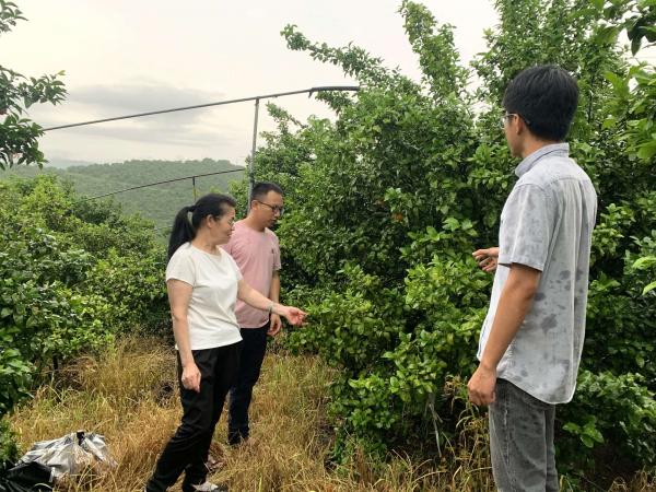 广西热作所农产品质量安全科技先锋队赴桂林荔浦市开展技术服务