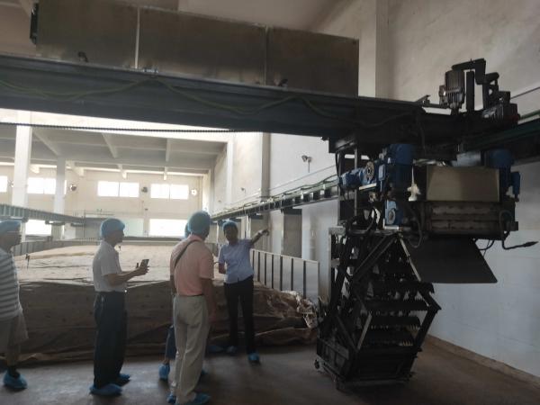 广西科技计划项目《六堡茶陈香速成关键技术研究》通过现场查定