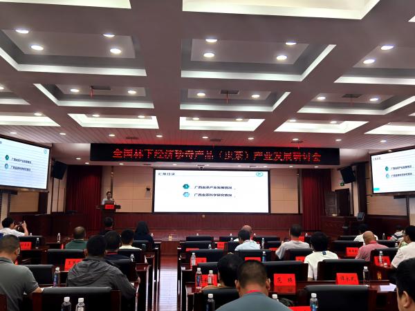 广西茶叶创新团队南宁综合试验站参加虫茶产业研讨会