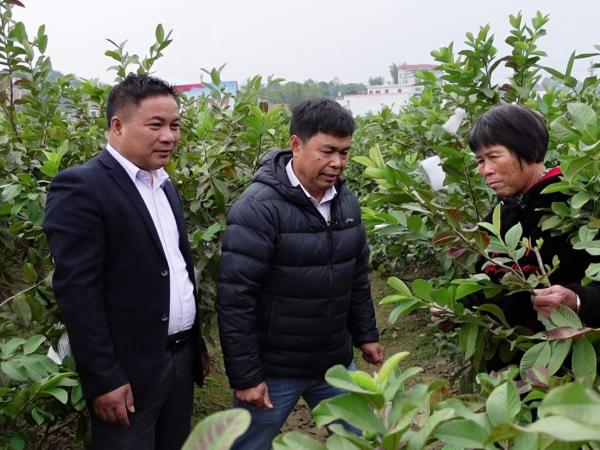广西热作所专家参加广西卫视“大家来到我们村”节目拍摄