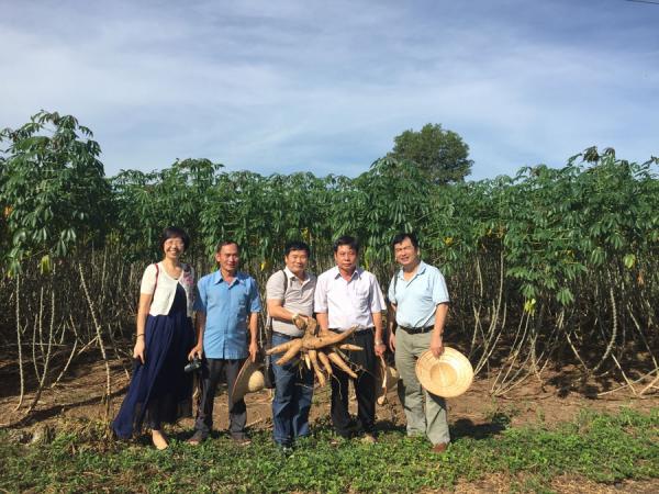 广西木薯所科技人员赴越南考察引种