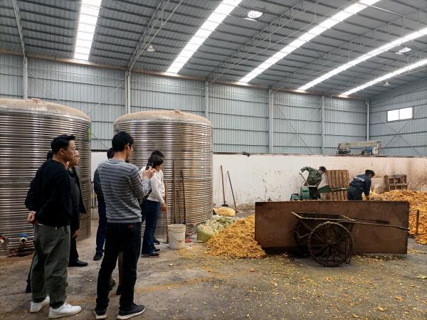 芒果采后技术与质量安全岗位功能专家团队赴武鸣开展调研
