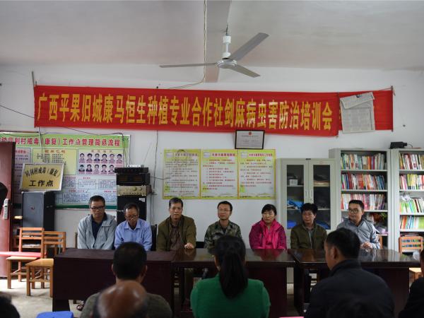 南宁剑麻试验站“石漠化地区剑麻种植技术培训班”在旧城镇同利村举办