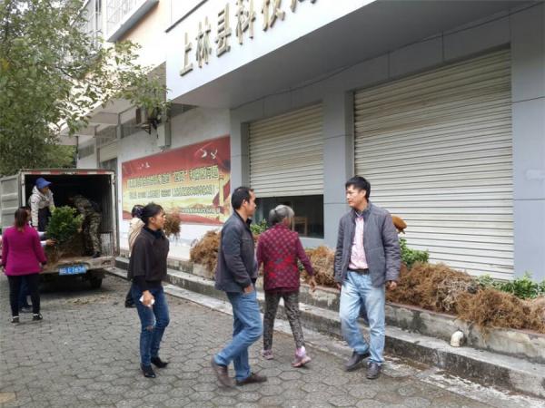 广西热作所科技特派员赴上林开展技术指导工作