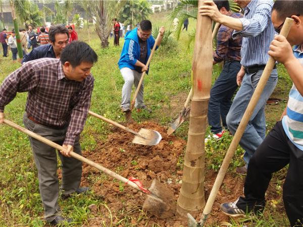 广西热作所开展义务植树活动