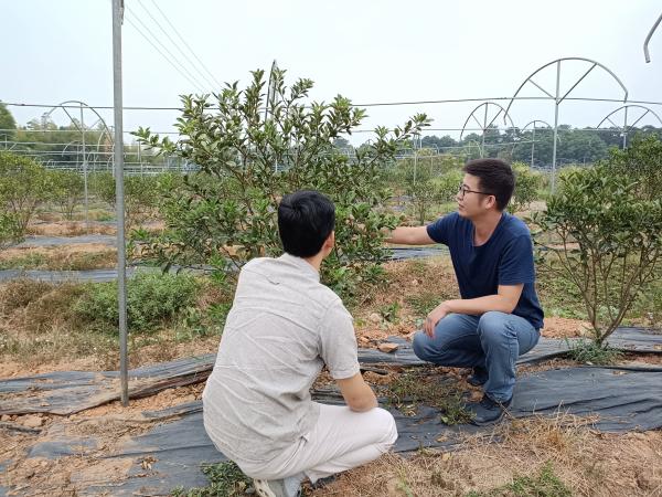 广西热作所科技人员赴桂林市开展金桔种植及采后保鲜技术培训